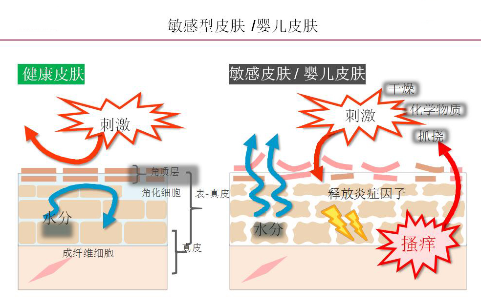 第三种：海藻糖.jpg