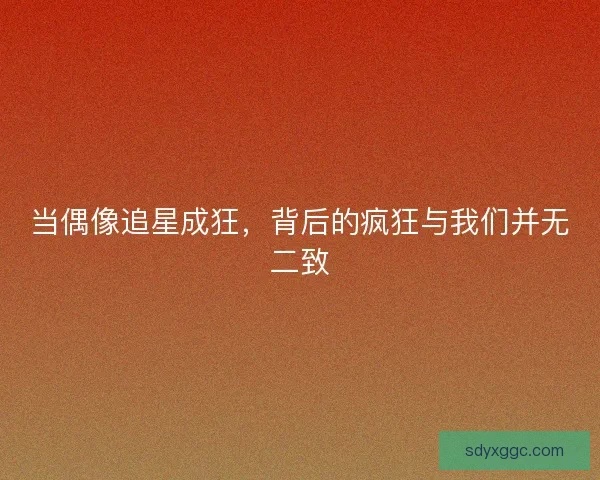 当偶像追星成狂，背后的疯狂与我们并无二致