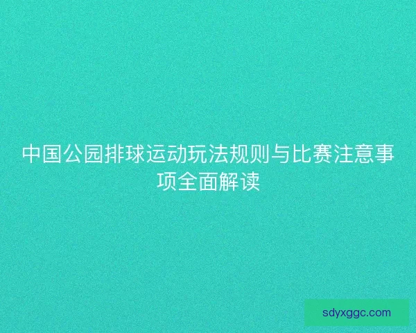 中国公园排球运动玩法规则与比赛注意事项全面解读