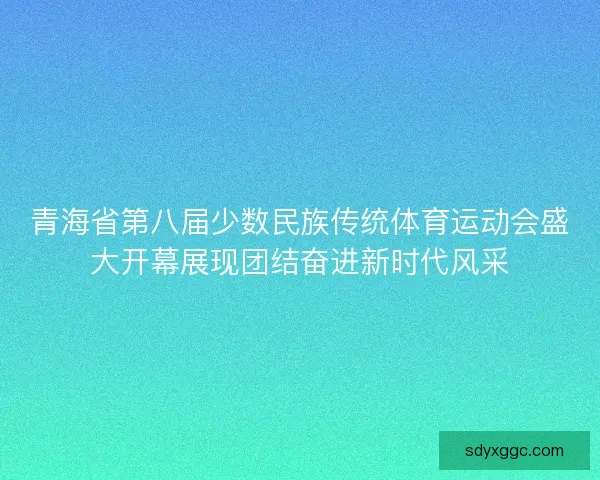 青海省第八届少数民族传统体育运动会盛大开幕展现团结奋进新时代风采